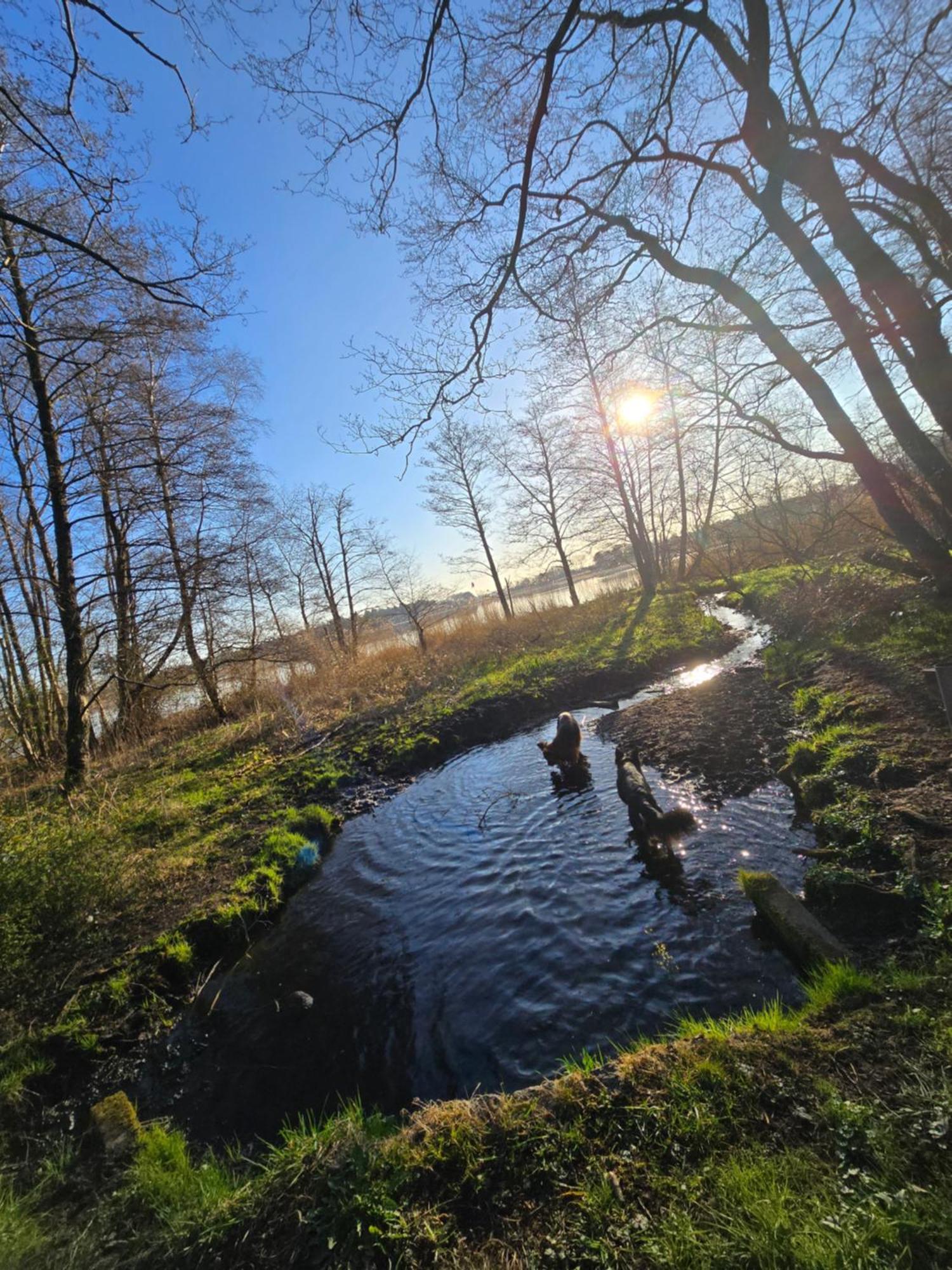 Fewo Lütt Stuv Fockbek Exterior foto